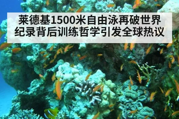莱德基1500米自由泳再破世界纪录背后训练哲学引发全球热议